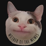 Telegram profile photo for mother of the memes