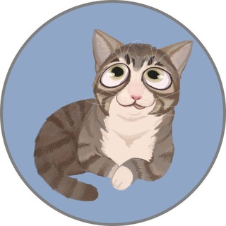 Telegram profile photo for $Wink Portal