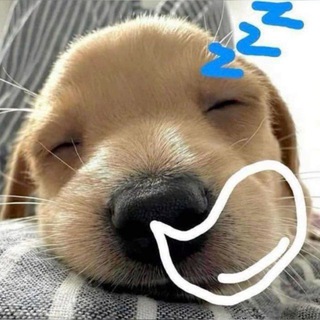 Telegram profile photo for Mon Dora