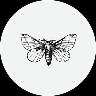 Telegram profile photo for sumkimoisumki
