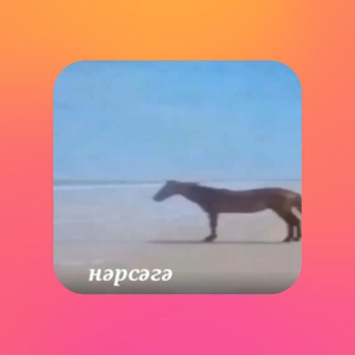 Telegram profile photo for я смотрю тик ток
