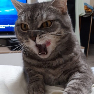 Telegram profile photo for Логово m1night'a
