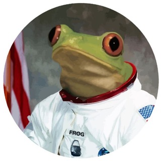 Telegram profile photo for OFO ( First Frog in Space ) LP Burnt