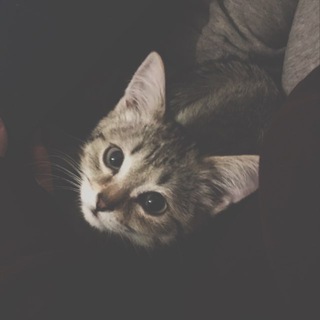 Telegram profile photo for переезд
