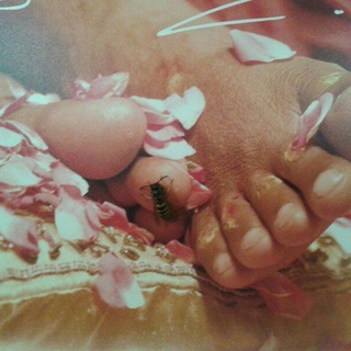Telegram profile photo for Paramahamsa Sri Swami Vishwanandas Göttlicher Nektar