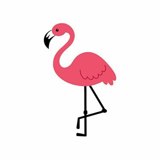 Telegram profile photo for Flamingo Calls