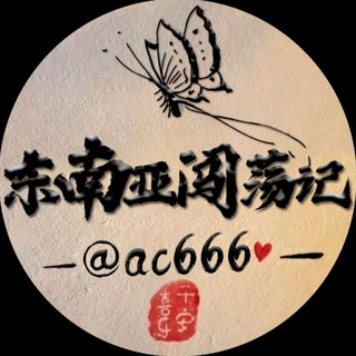 Telegram profile photo for 东南亚闯荡记🪐