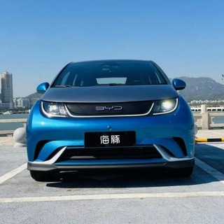 Telegram profile photo for BYD Dolphin/Yuan Plus Ukraine