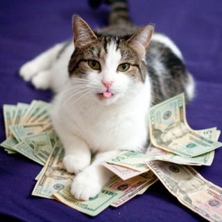 Telegram profile photo for Задонатить Ане