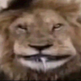 Telegram profile photo for смерть в седьмом дане