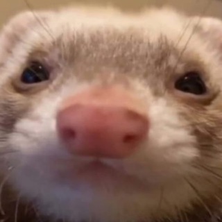 Telegram profile photo for Халявный Бума 😁
