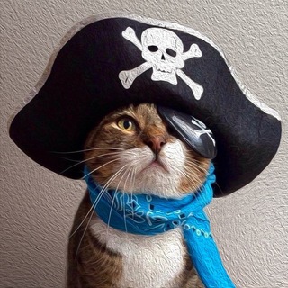 Telegram profile photo for Кот маминой подруги