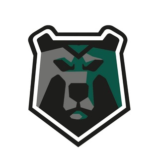 Telegram profile photo for Спортивный Клуб «Черные Медведи-Политех»
