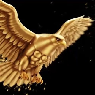 Telegram profile photo for Dgc Public