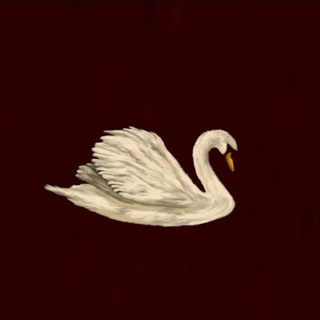 Telegram profile photo for zhenns