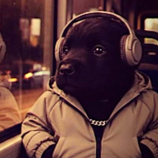 Telegram profile photo for гунер