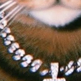 Telegram profile photo for JWETT KILLERZ