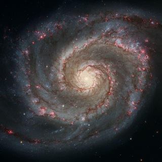 Telegram profile photo for Space