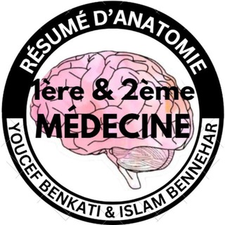 Telegram profile photo for ✨Youcef & Islam's résumés✨