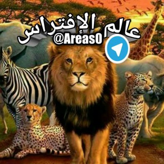 Telegram profile photo for ಠعـالـم الأفــتـــراسఠ