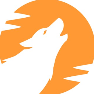 Telegram profile photo for Crypto Panic News