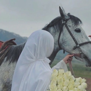 Telegram profile photo for ورود 🌸🕊️