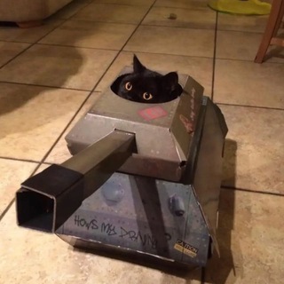 Telegram profile photo for Та самая Дурка