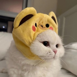 Telegram profile photo for Здарова, это Додж