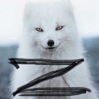 Telegram profile photo for Позывной «Кацман»