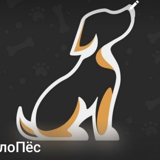 Telegram profile photo for БелоПёс _ Приют