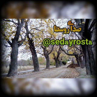Telegram profile photo for آوای اردوغش