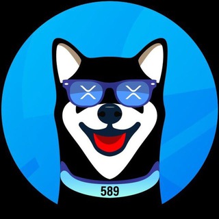 Telegram group profile photo for XRdoge - The Official Telegram Channel!