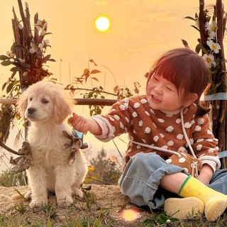 Telegram profile photo for 摇一摇表情包 GIF