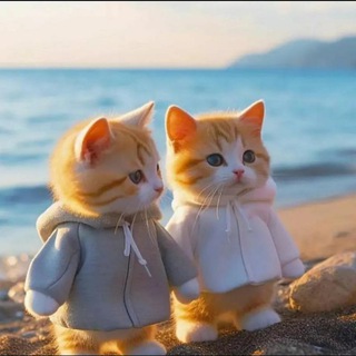Telegram profile photo for ❣.هـمسـات لـﻃيفـة❣