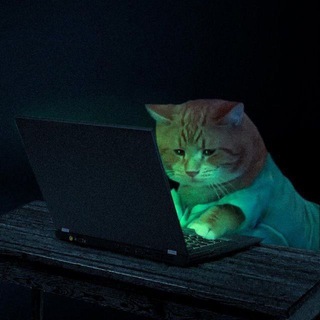 Telegram profile photo for икслинги
