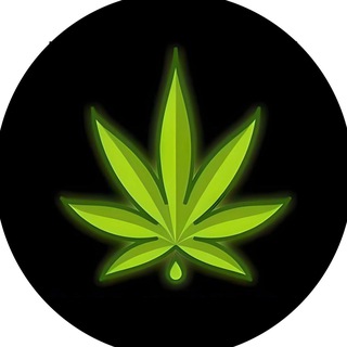 Telegram profile photo for מעבר ☘️ TENLIGRASS