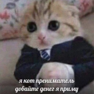 Telegram profile photo for лечу и снимаю (@tim_darii)