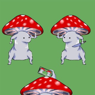 Telegram profile photo for 🍄🍄GRIB SUPP🍄🍄