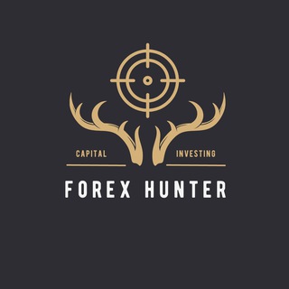 Telegram profile photo for Forex Hunter | Channel