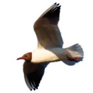 Telegram profile photo for Недвижимость Ступино