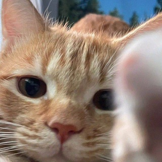 Telegram profile photo for Karanlıktaki ışık✨