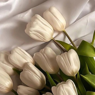 Telegram profile photo for ألْمَى