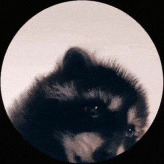 Telegram profile photo for iDiamond Musics