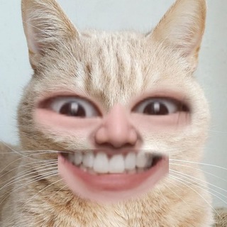 Telegram profile photo for Гаремник Юки