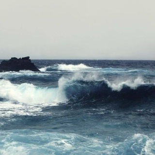 Telegram profile photo for create gmail sea CLOSE