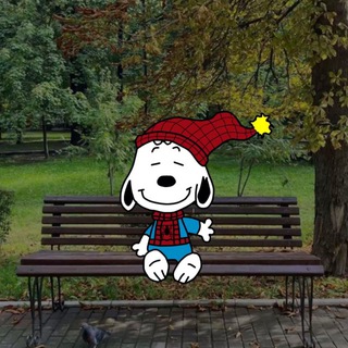 Telegram profile photo for Stock Everyday