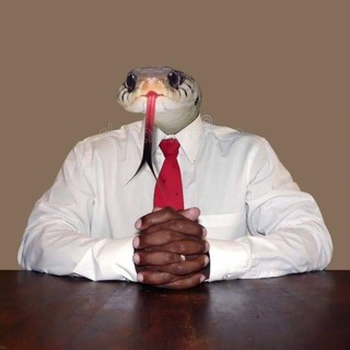 Telegram profile photo for Sturm und Meme