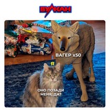 Telegram profile photo for Как отличить официальное зеркало казино Вулкан от фишингового сайта