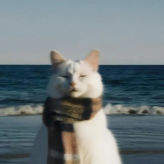Telegram profile photo for اطمئـنــان