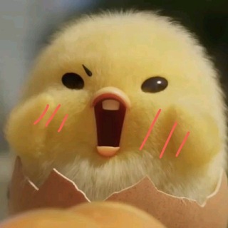 Telegram profile photo for pp jastiplegal